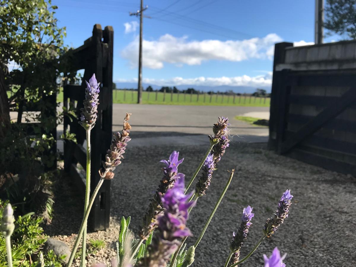 Lavender53 Villa Martinborough Eksteriør billede